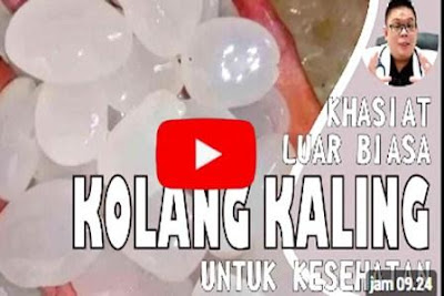 https://keranjangkesehatan.gankoko.com/2024/09/manfaat-buah-kolang-kaling-untuk-kesehatan.html