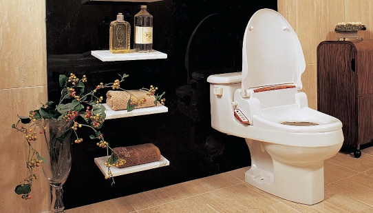 Why More People Now Use A Toilet Seat Bidet