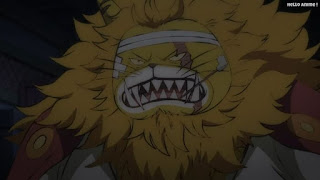 ワンピースアニメ 1023話 ネコマムシ | ONE PIECE Episode 1023