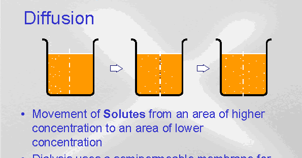 Contoh Dari Difusi Biologi - Cable Tos