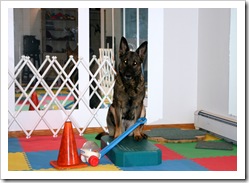 2009.11.7 Brita training in basemet-2