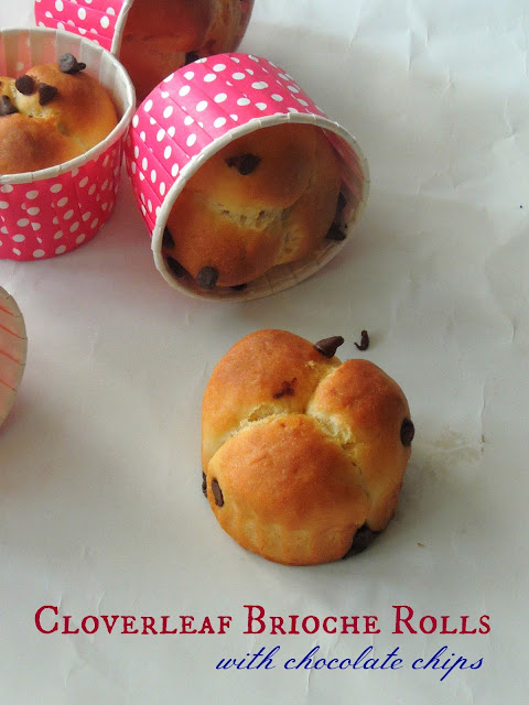 Eggless Cloverleaf Brioche Rolls with chocolate chips