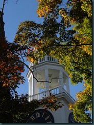 steeple-leaves2