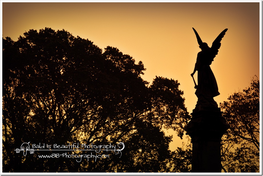 Mt Olivet Cemetery-3
