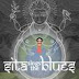 Sita Sings the Blues (2008)