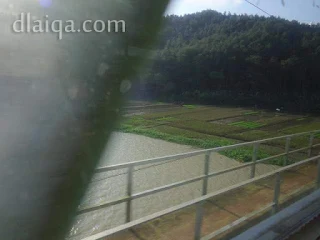 melintas lagi di atas jembatan