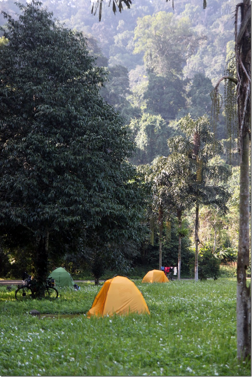 2013-11-30 Cuc Phuong 021