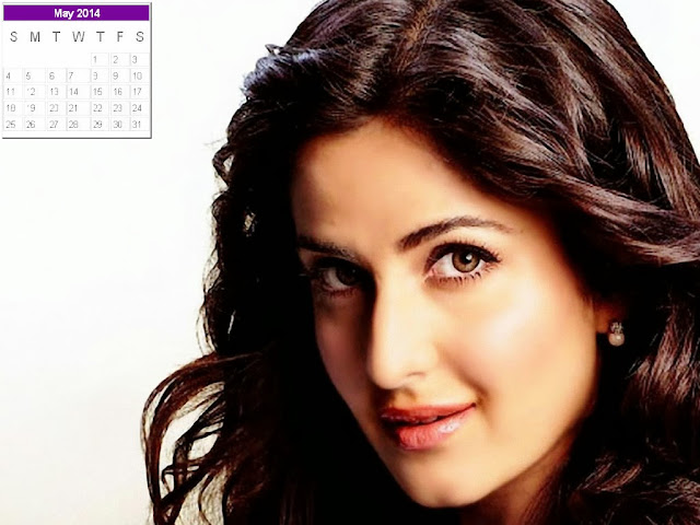 Katrina Kaif Calendar 2014