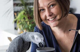 Pet parrot uses voice-controlled gadget to place order with Amazon