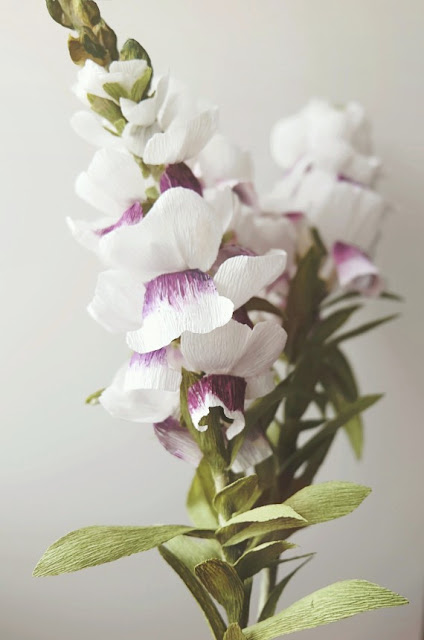 Crepe Paper Snapdragon (Antirrhinum Majus)