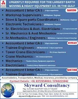 skyward consultants