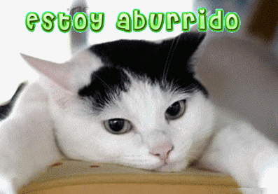 aburrido 2