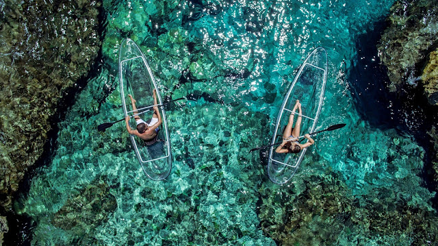 Transparent kayaks gives you extraordinary view of marine life