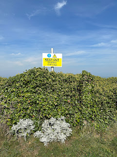 A photo showing an overgrown area with a white and yellow sign sticking out of it.  In the top white area are an exclamation mark in a blue circle and another exclamation mark in a yellow triangle.  In the bottom yellow part are the words - KEEP OUT – Unstable Cliff Edge.  Photo by Kevin Nosferatu for the Skulferatu Project.