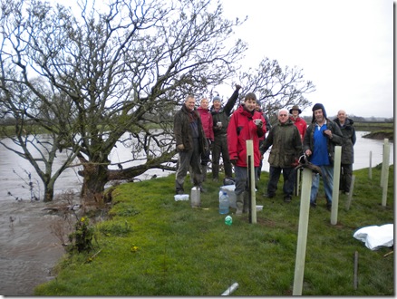 Tree planting in the rain!