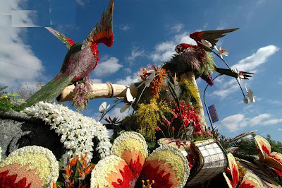 flower birds