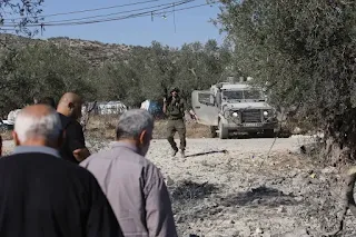 The occupation forces arrested a Palestinian youth in the West Bank after shooting him, and settlers killed dozens of sheep in the Jordan Valley.