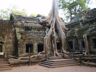 Ta Prohm, Siem Reap Cambodia tourism  