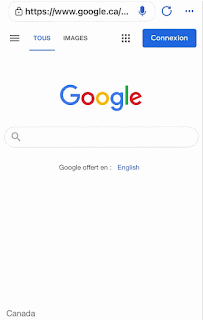 Google Easter Egg Mandelbrot