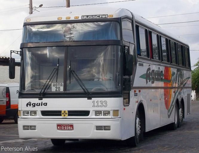 1133 _ Peterson Alves