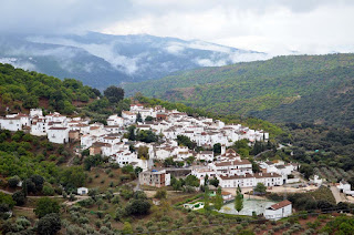 Parauta en Serranía de Ronda