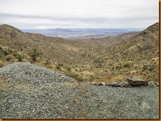 IMG_1656