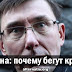 Украина: почему бегут крысы? Александр Зубченко