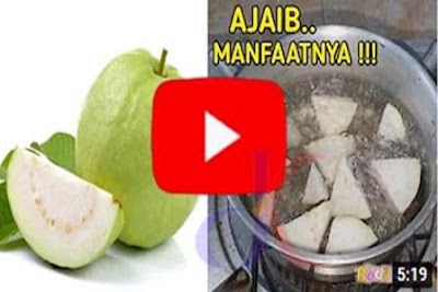 https://keranjangkesehatan.gankoko.com/2021/09/manfaat-buah-jambu-biji.html