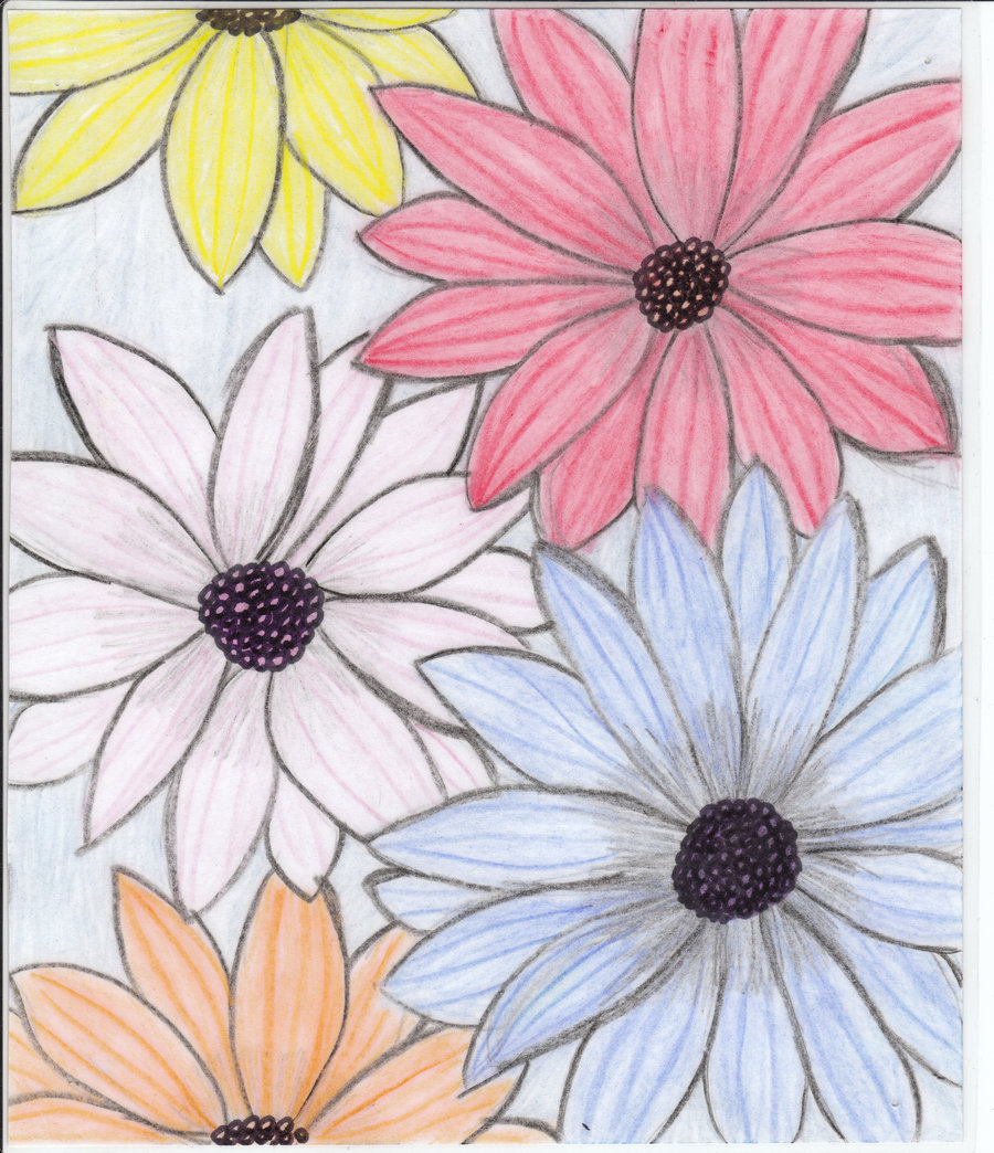 drawing flowers