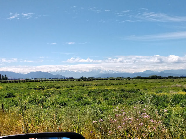 Colchagua, VI Región, Chile