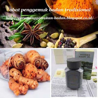 obat gemukin badan, obat untuk menggemukan badan,obat gemuk kianpi, obat penggemuk badan tradisional, obat menggemukkan badan, obat herbal penambah berat badan