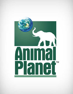 animal planet tv logo vector, animal planet tv logo, animal planet tv live logo, animal planet tv video logo, animal planet tv channel logo, show logo