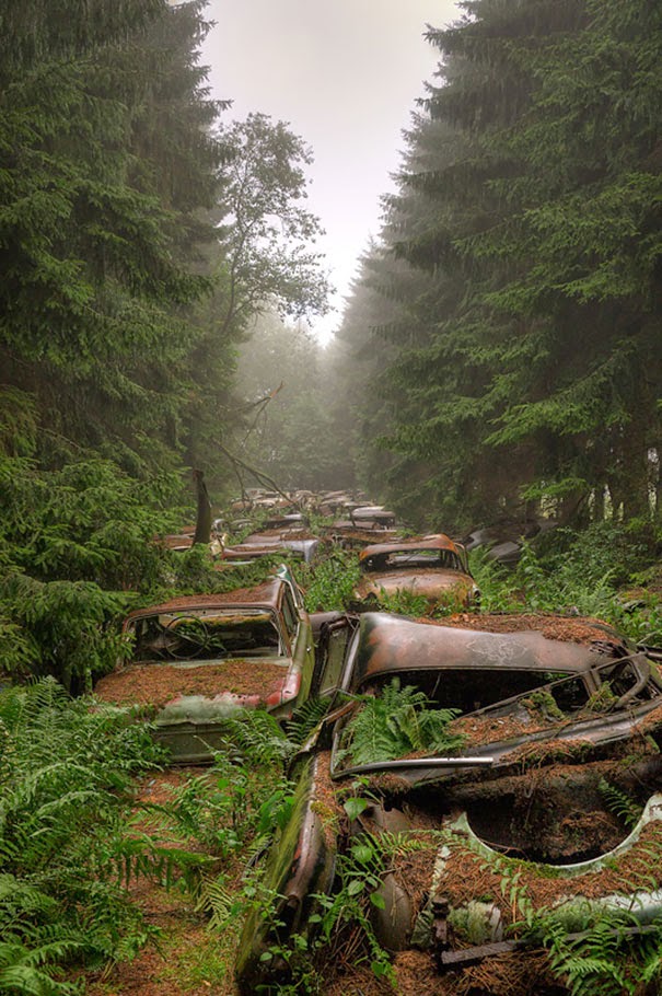 chatillon-car-graveyard-abandoned-cars-cemetery-belgium-4+Do+You+Know ...