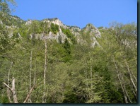 DSCN5198