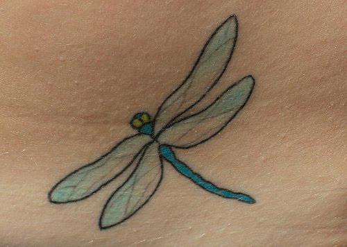 The Dragonfly Tattoo Design Picture 22 The Dragonfly Tattoo Design Picture