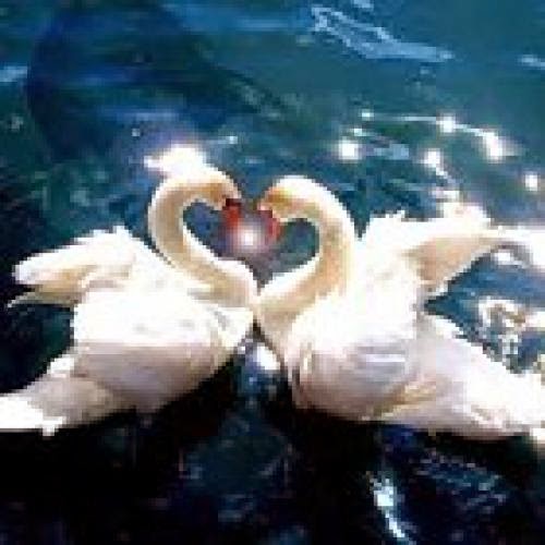 Spell Powder Love Connection Find Soul Mate