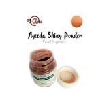 http://www.artimeno.pl/pl/shiny-powders-pigmenty/6030-13arts-shiny-powder-red-bronze-czerwony-braz-22ml.html