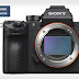 Sony a7R III đã ngồi cùng ngôi vương với Nikon D850, đạt điểm 100 trên DxOMark
