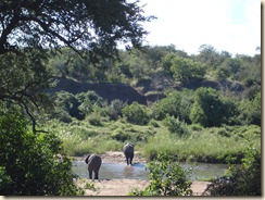 DSC07267