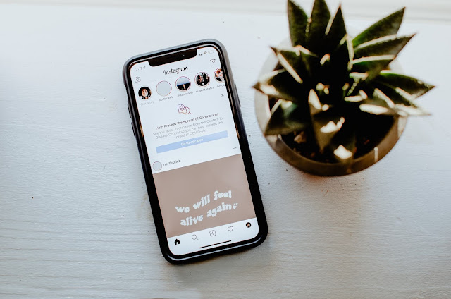 iphone lying on table, displaying instagram feed, next to succulent plant