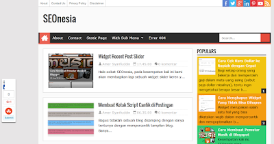 Widget Sosial Media