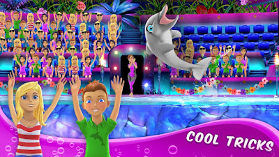 My Dolphin Show