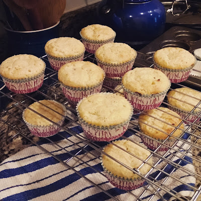 rosemary parmesan cupcakes cooling