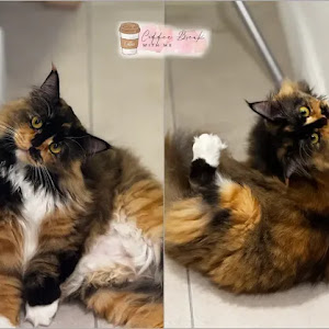 Ada Sesiapa Yang Rindu Kiera Tak?