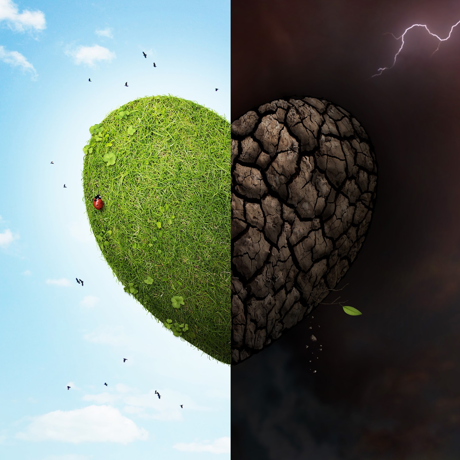 خلفيات آيباد 2013 جميلة - Amazing iPad wallpapers 2013