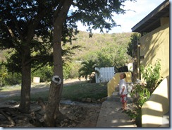 Noah watching for the macaw at Pirates Bight