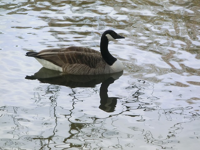 CIMG8055