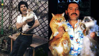 Los ocho gatos de Freddie Mercury