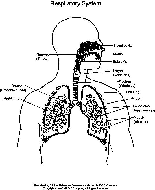 ASKEP: ASUHAN KEPERAWATAN DENGAN BRONCHOPNEUMONIA