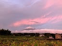 トキ・トコロを得る